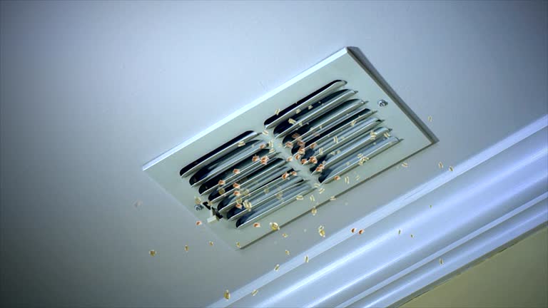 Best Professional Duct Cleaning Services  in Blossom, TX